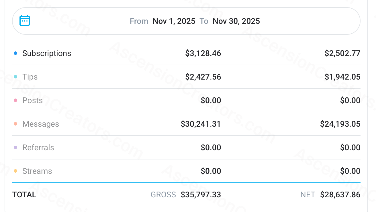 Story 2, November 2025 earning statement showing $29,166.83 net earnings
